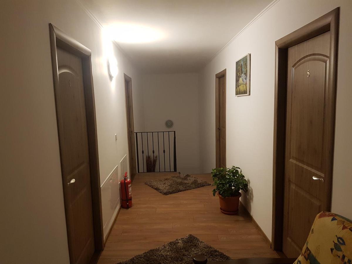 Casa Irinella Bed & Breakfast Satu Mare Bagian luar foto