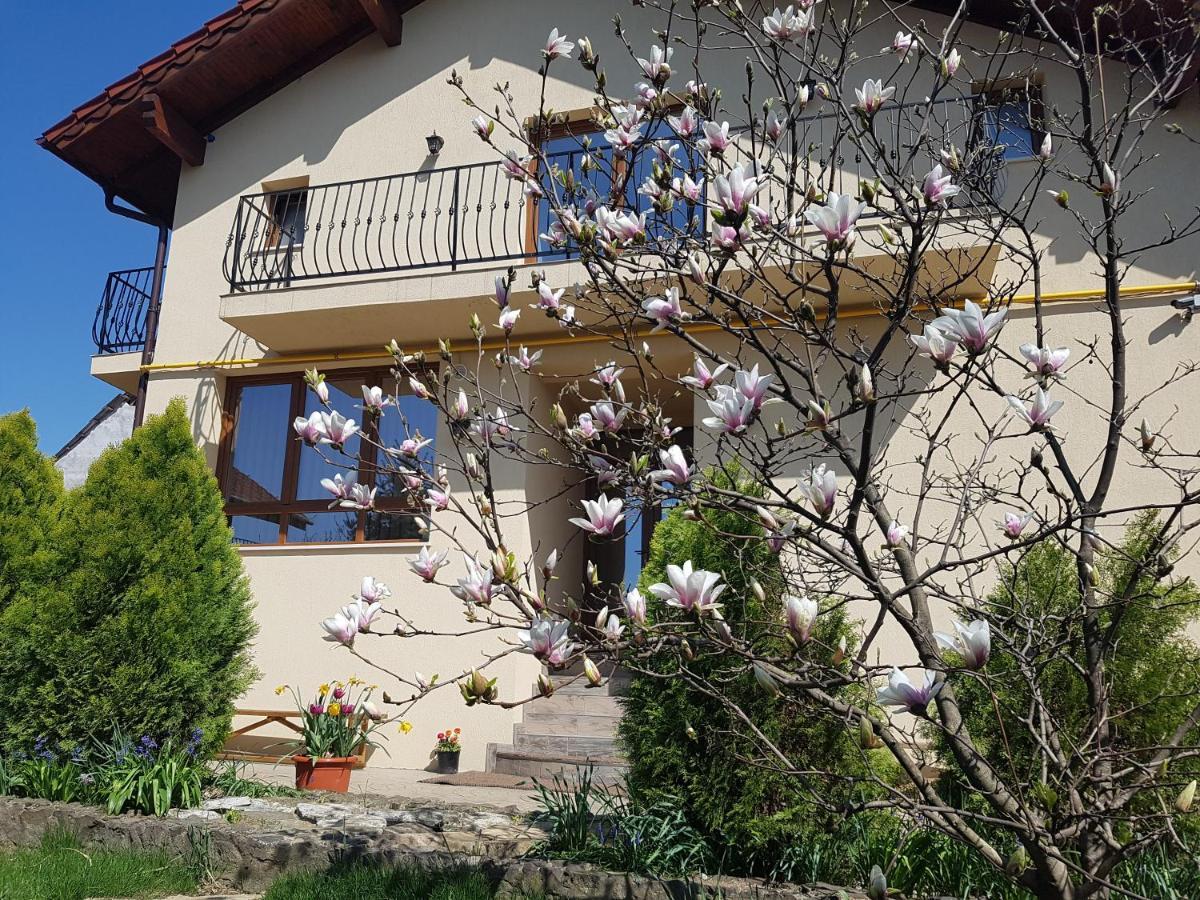 Casa Irinella Bed & Breakfast Satu Mare Bagian luar foto