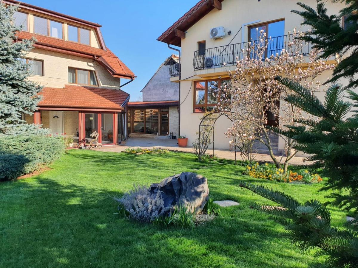 Casa Irinella Bed & Breakfast Satu Mare Bagian luar foto